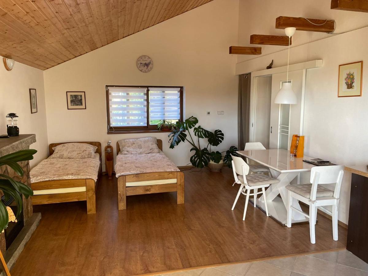 Apartman V Podhuri Jizerskych Hor Zelezny Brod Екстериор снимка